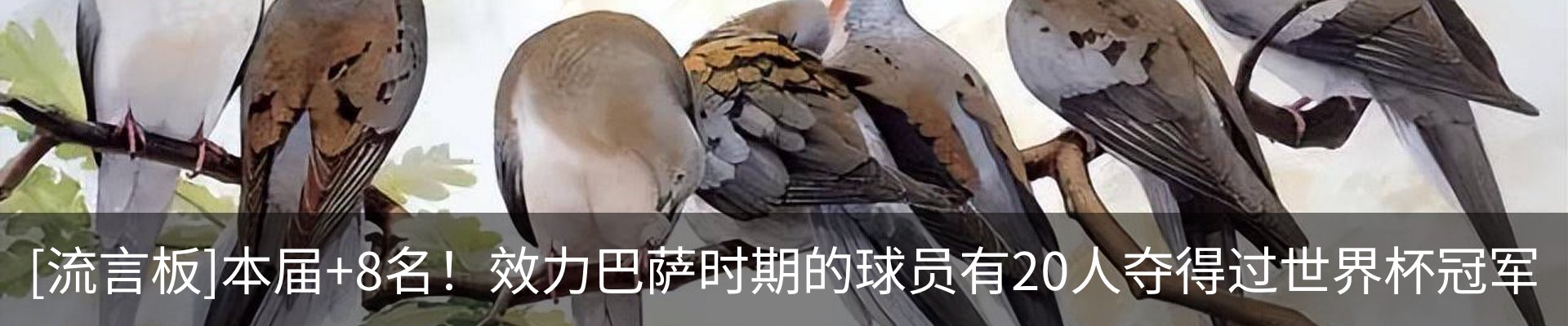 新闻动态